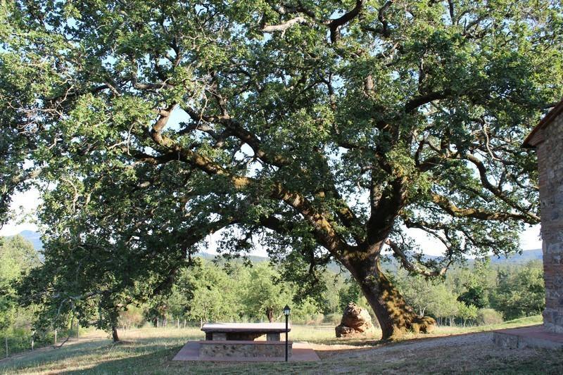 La Quercia